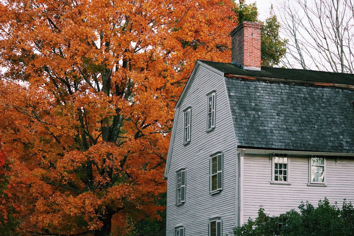 suburban neighborhood street with autumn trees